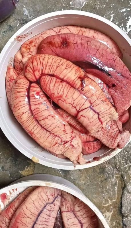 ইলিশের ডিম ২ কেজি